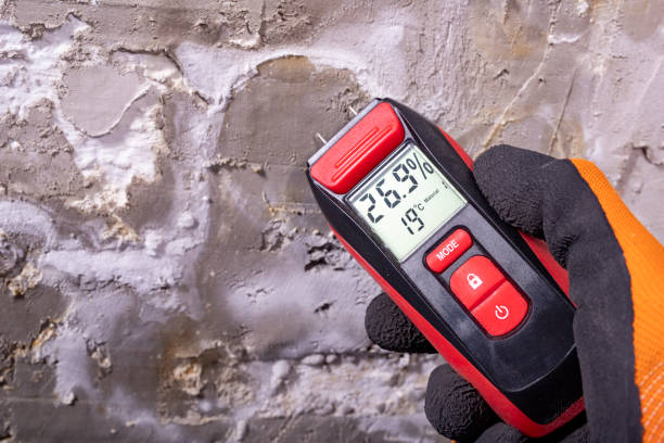 Best Emergency Mold Removal  in Hinton, OK