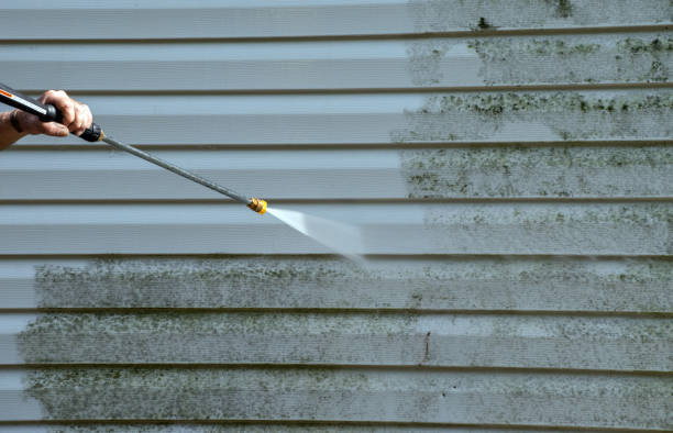 Best Commercial Mold Removal  in Hinton, OK