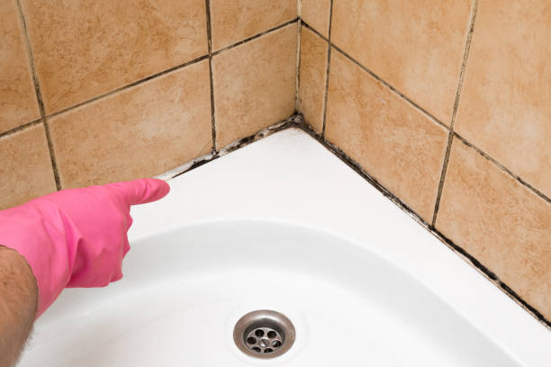 Best Mold Cleaning Services  in Hinton, OK